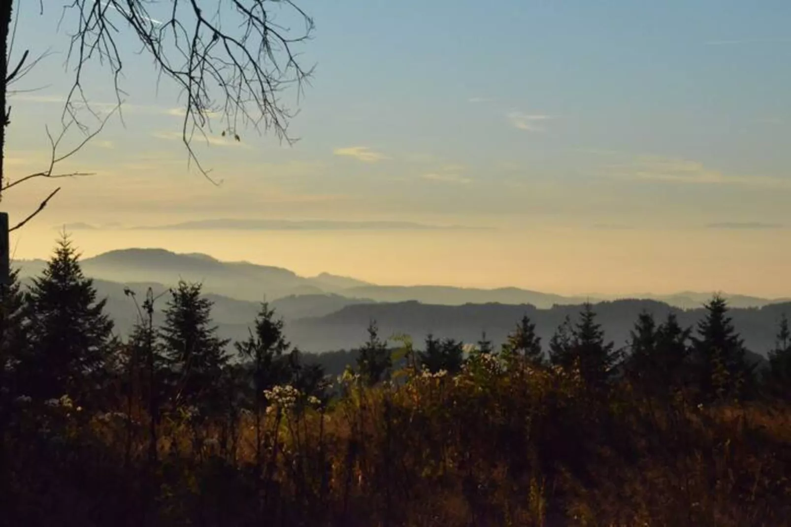 Am Stulzenhof-Areas within 20km in summer