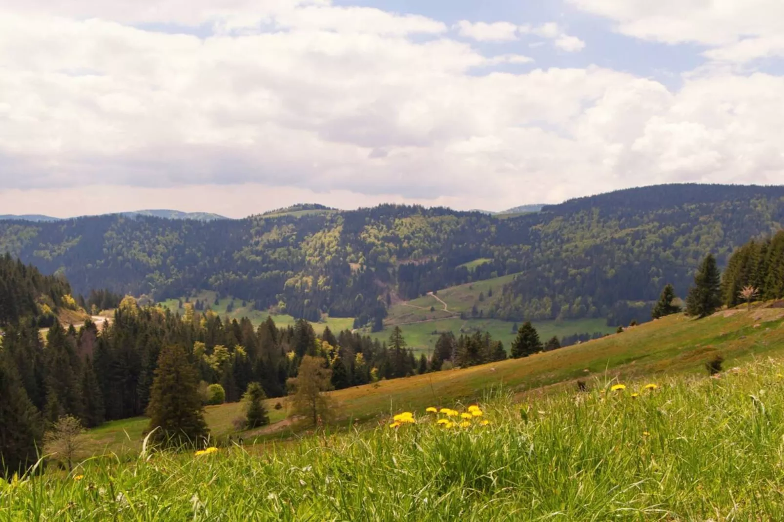 Haus Fischer-Areas within 20km in summer