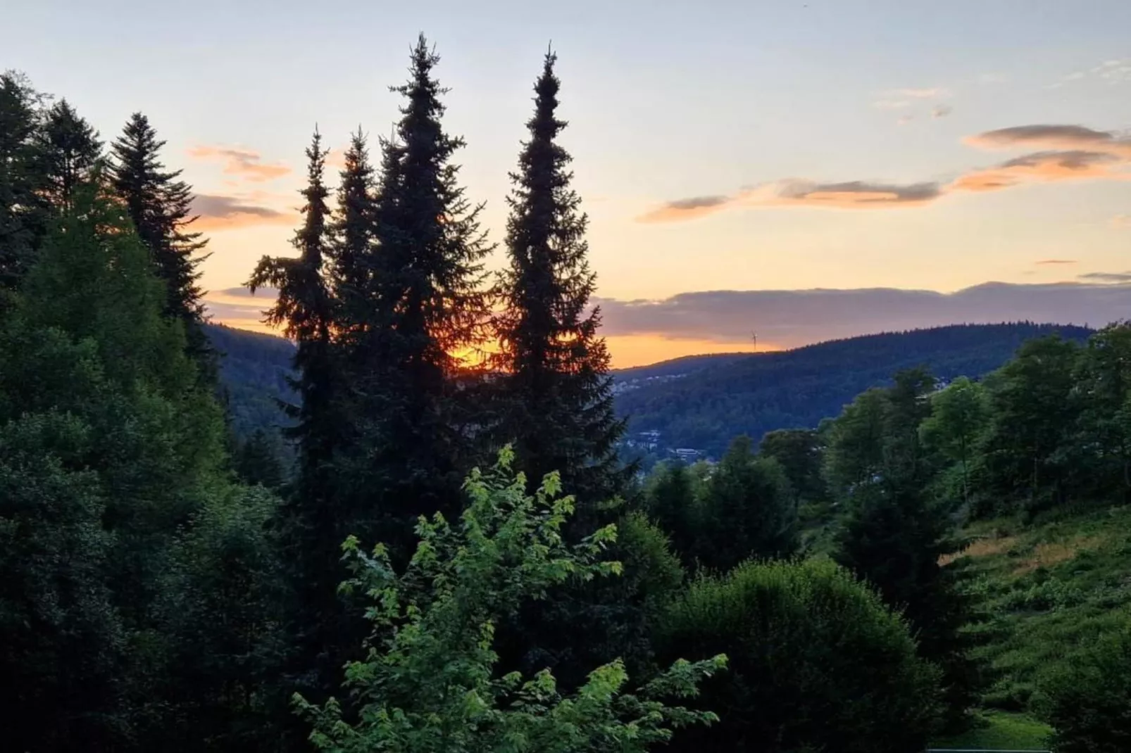 Schwarzwald-Gebiete Sommer 20 km