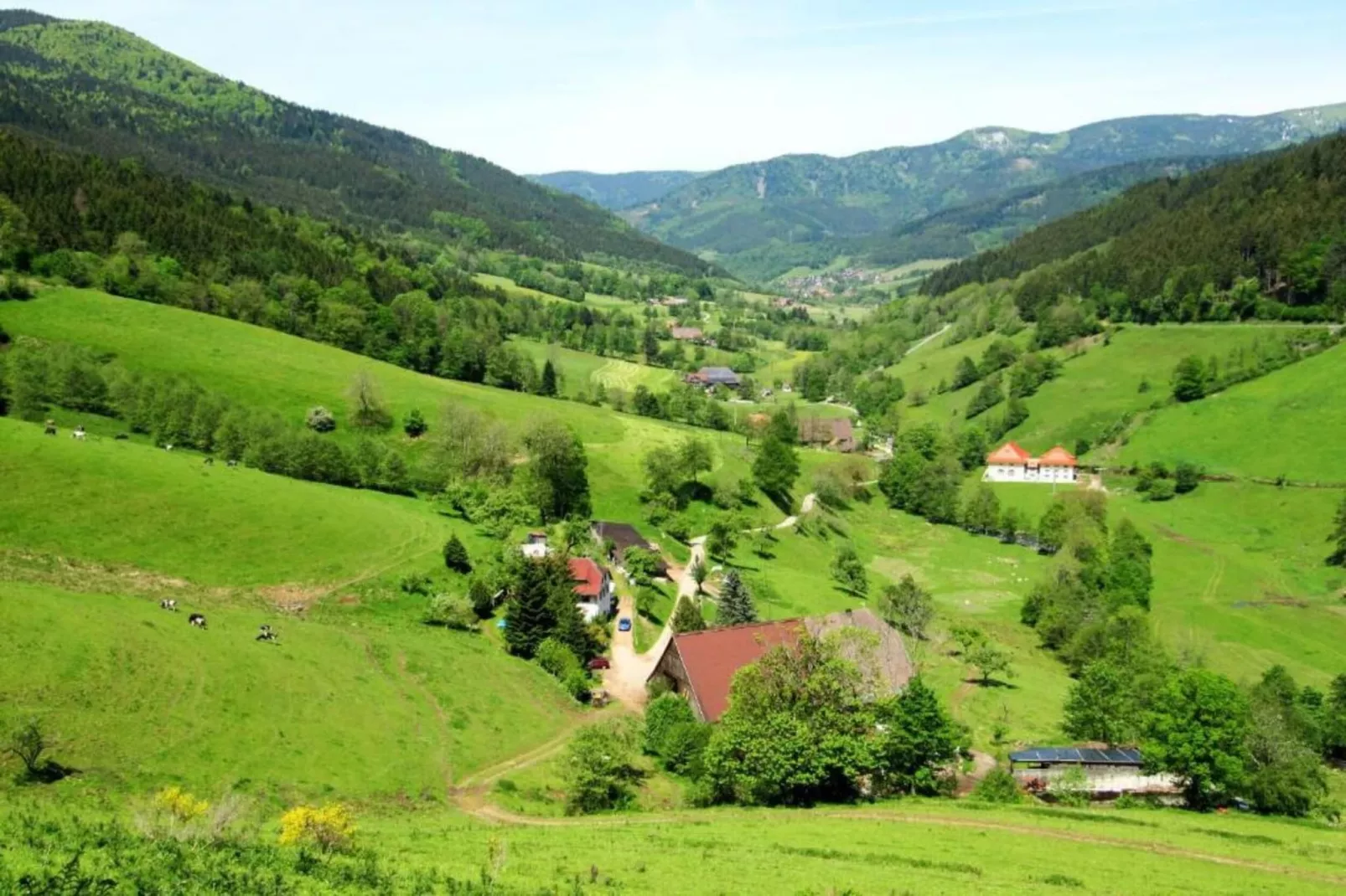 Neukirch-Area within 20km in winter
