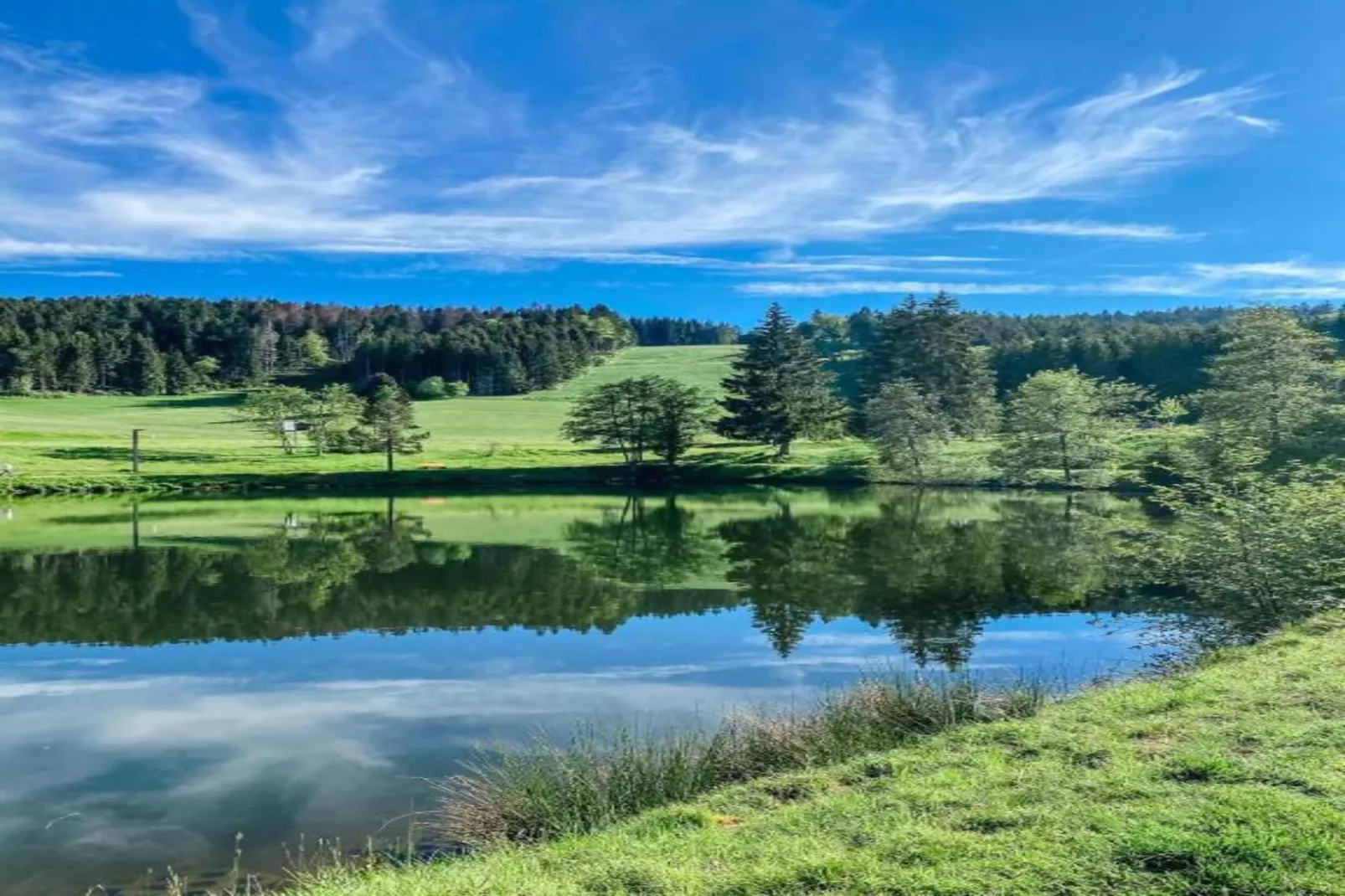 Bernau-Areas within 20km in summer