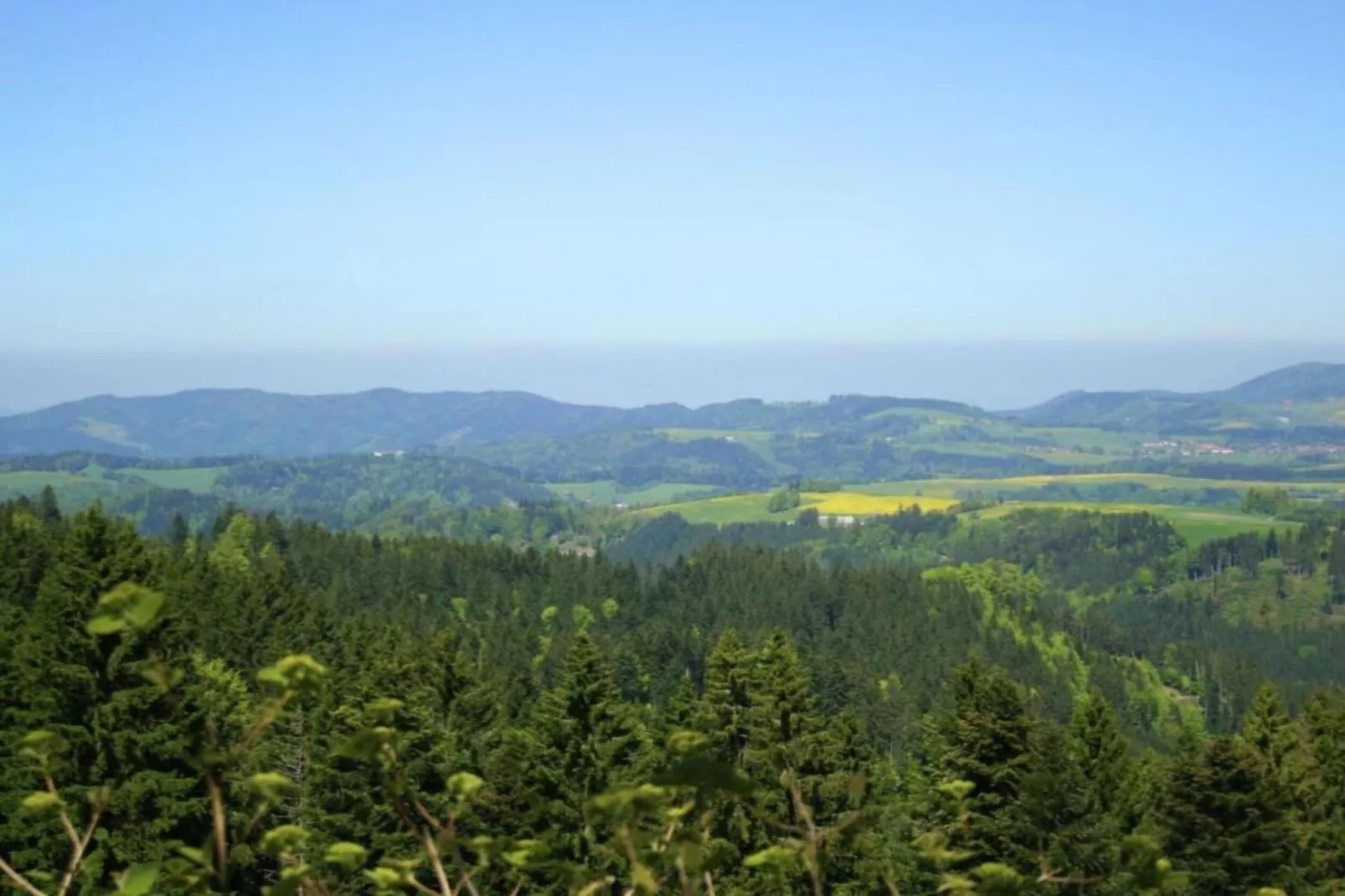 Schwarzwaldhaus Pferdeklause-Areas within 20km in summer
