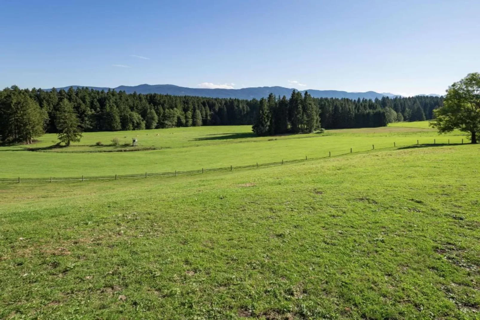 Steingaden-Areas within 20km in summer