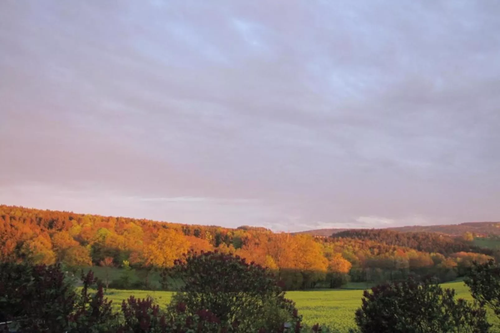 Morgensonne-Areas within 20km in summer