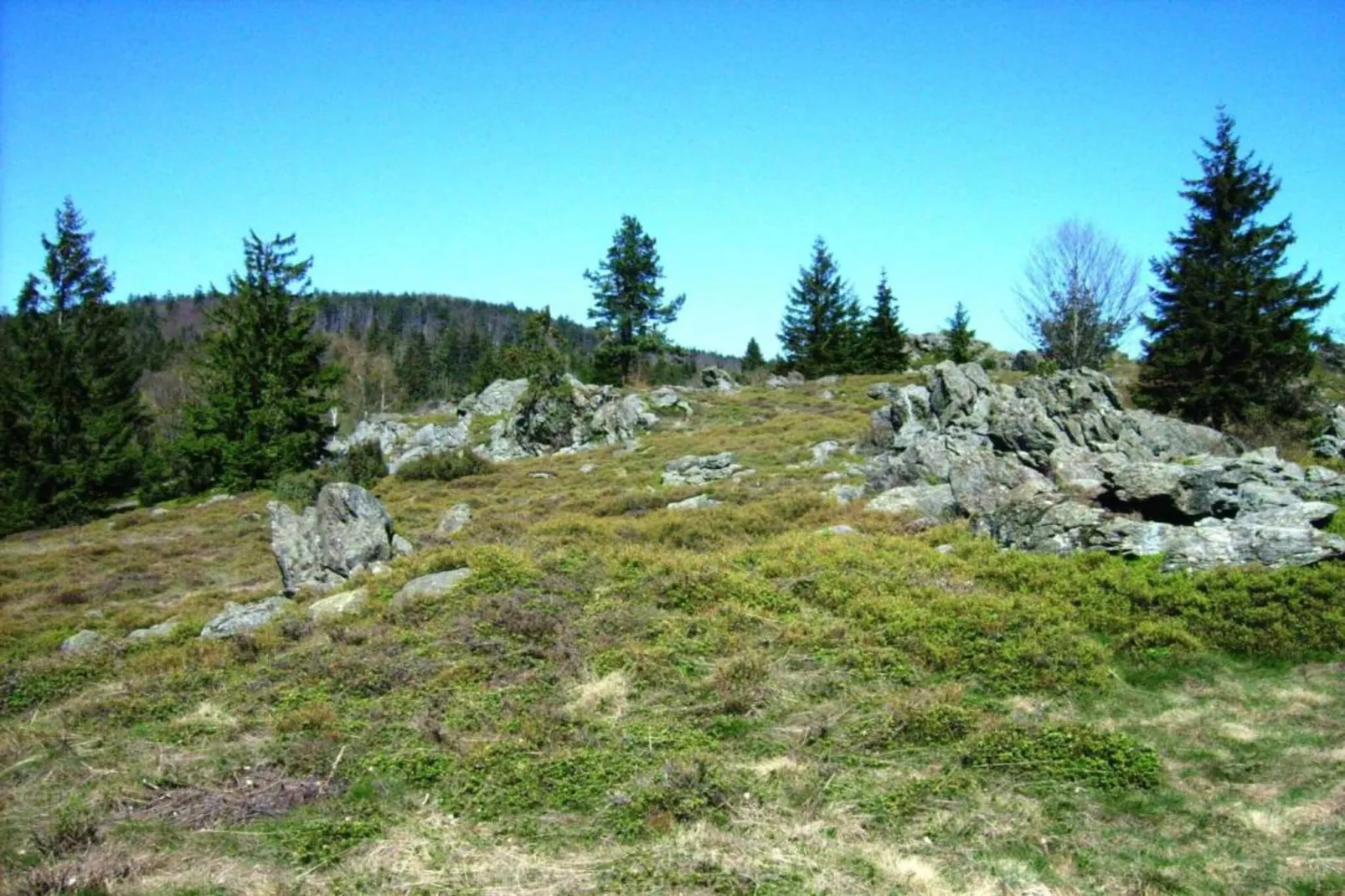 Bayerischer Wald-Zones été à 20 km