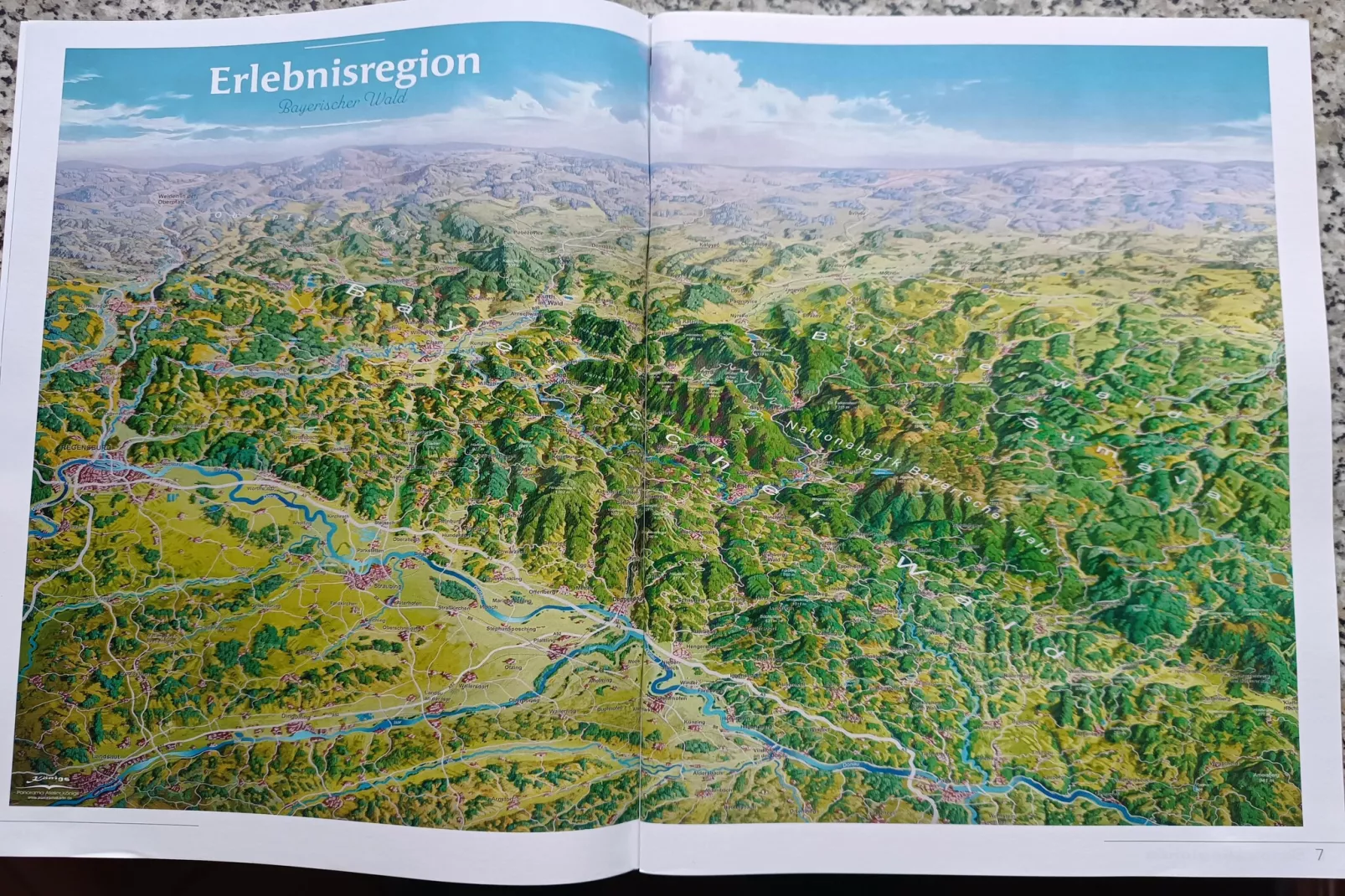 Holecek-Areas within 1km in summer