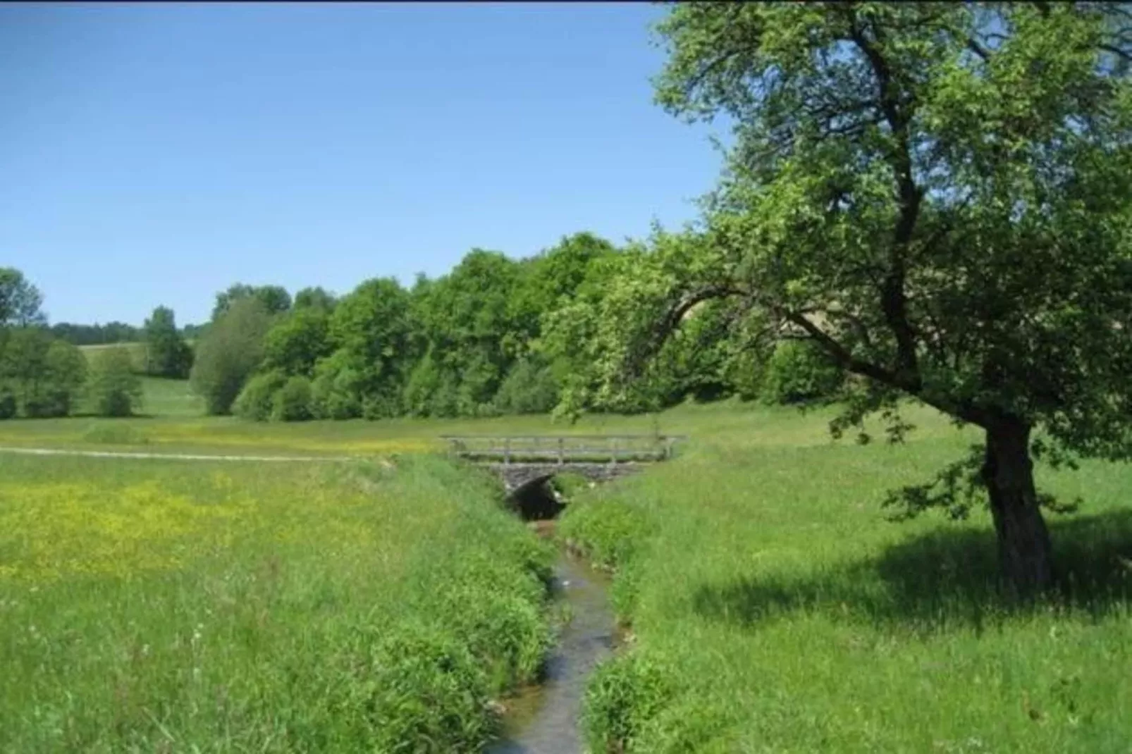 Im Bayerischen Wald-Zones été à 20 km