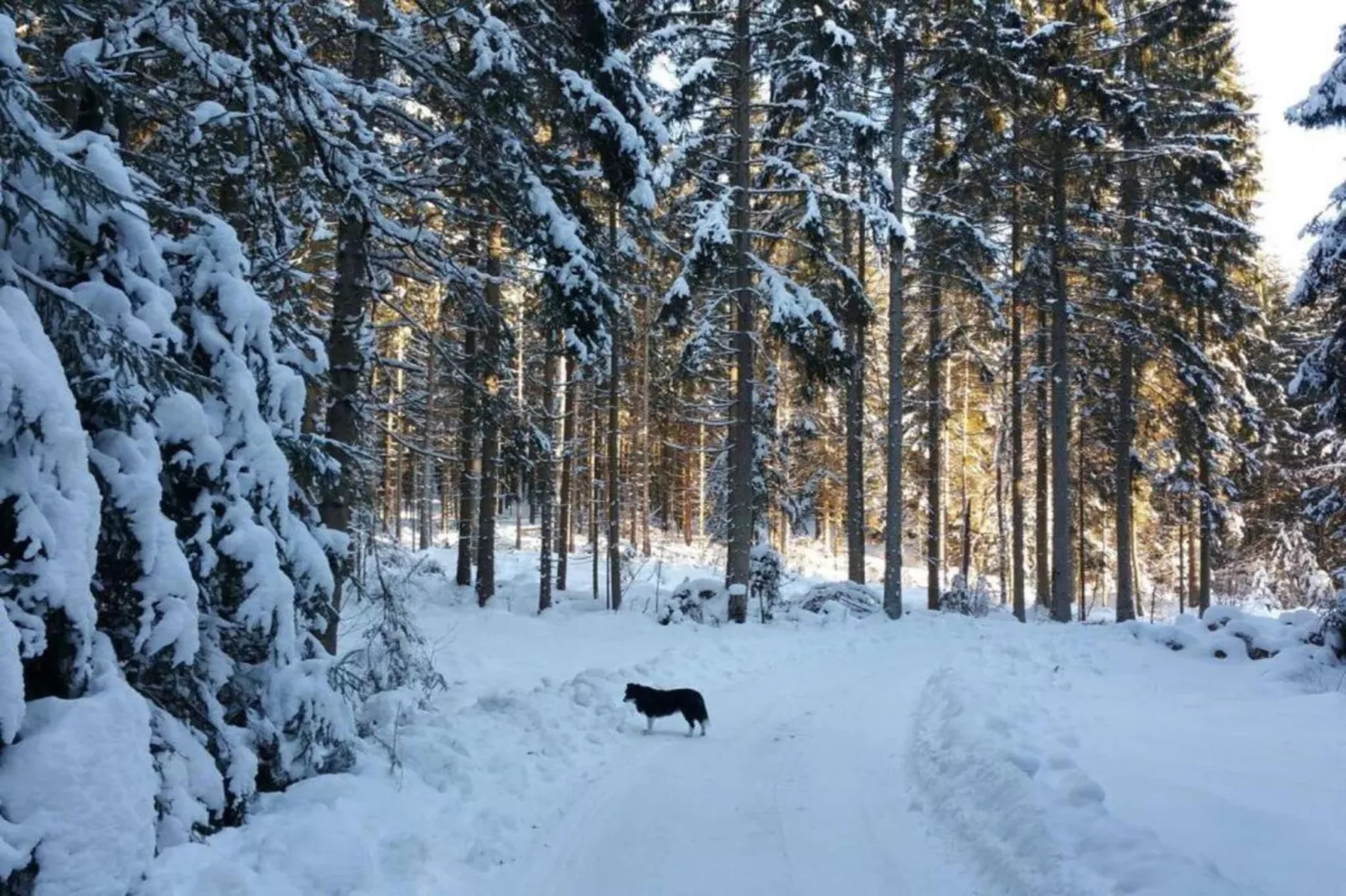 Im Zellertal-Area within 20km in winter