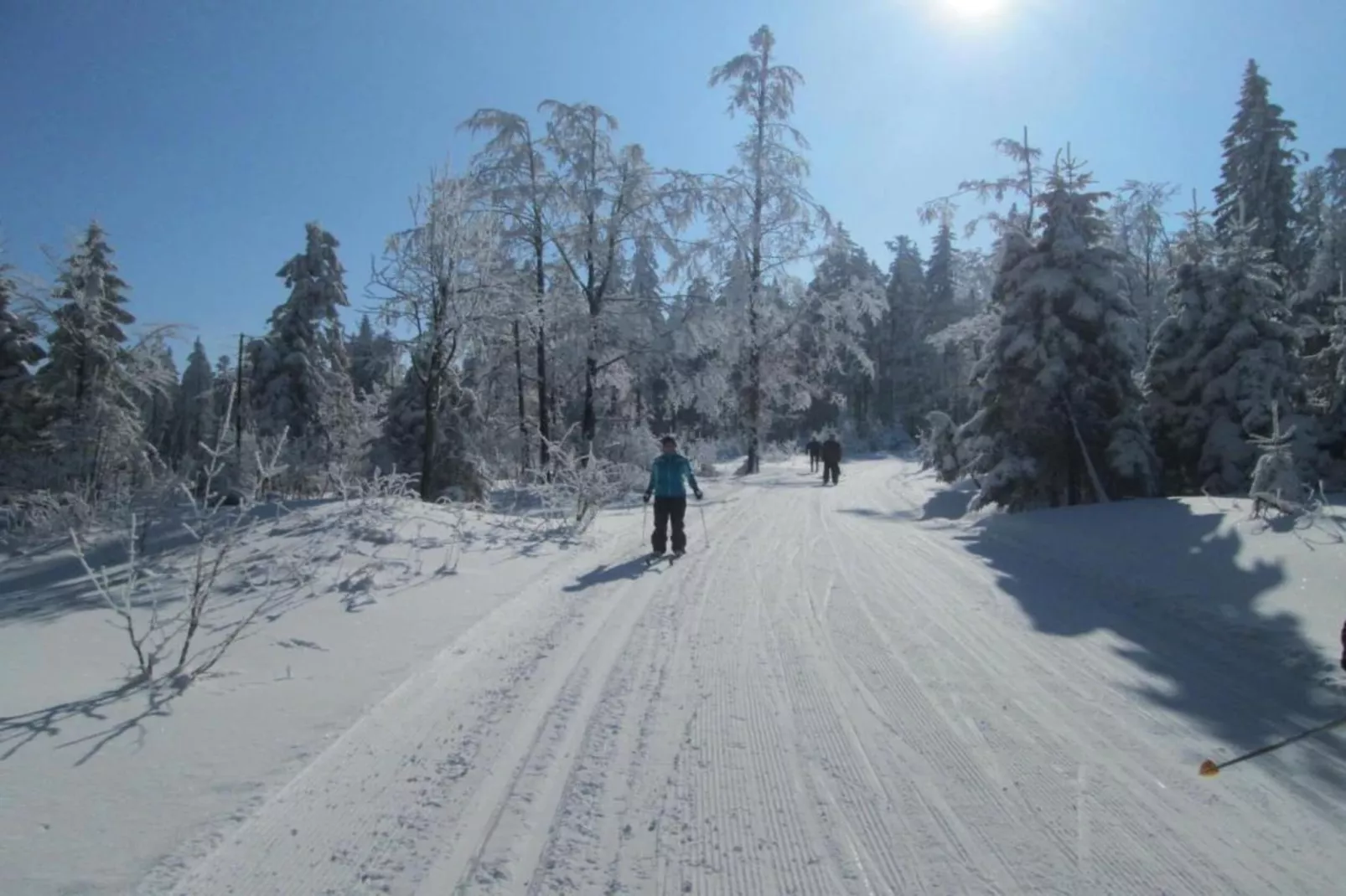 Kreut-Area within 20km in winter