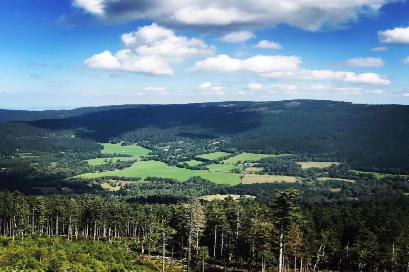 Talblick-Areas within 20km in summer