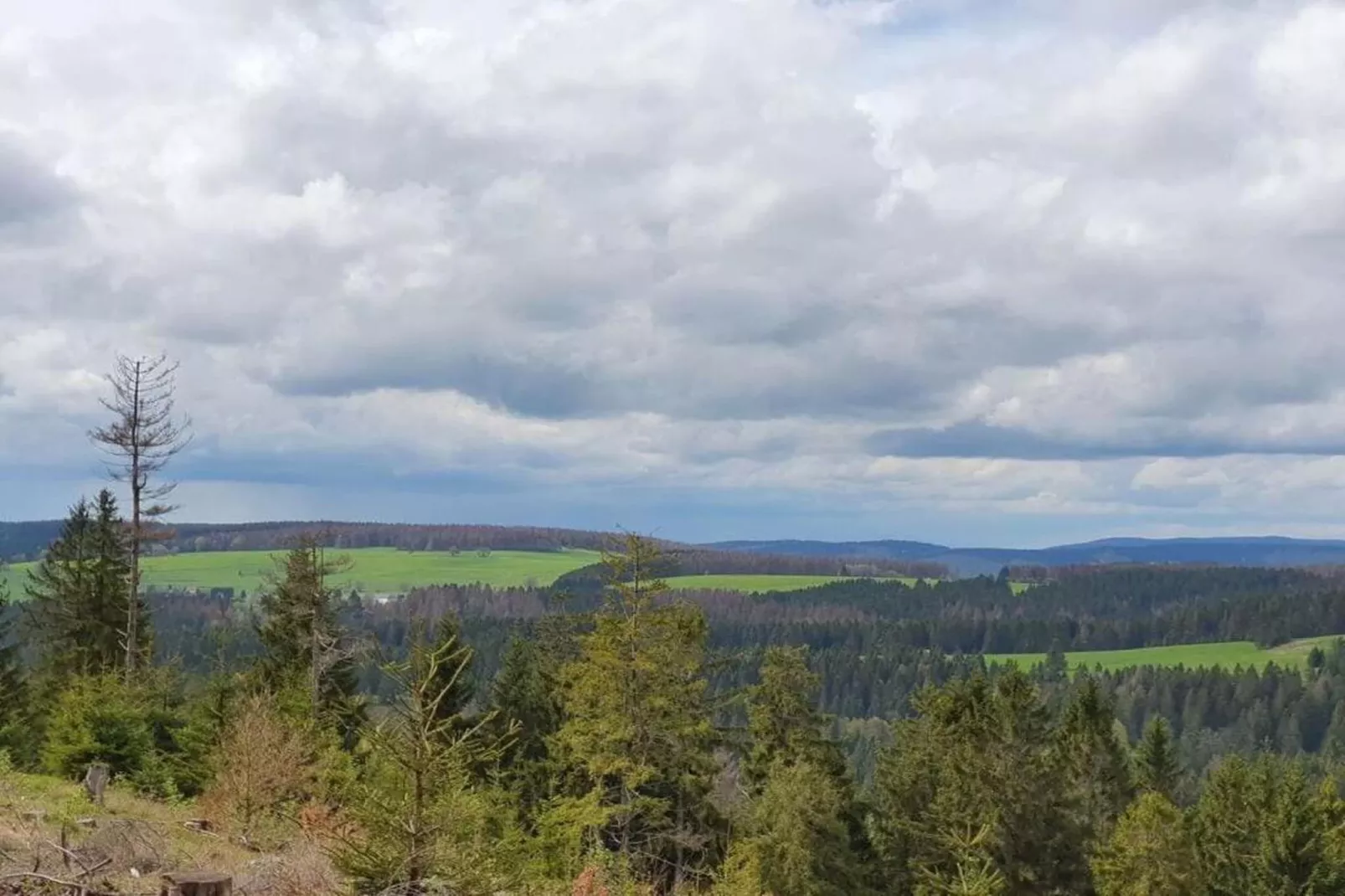 Waldblick-Gebiete Sommer 20 km
