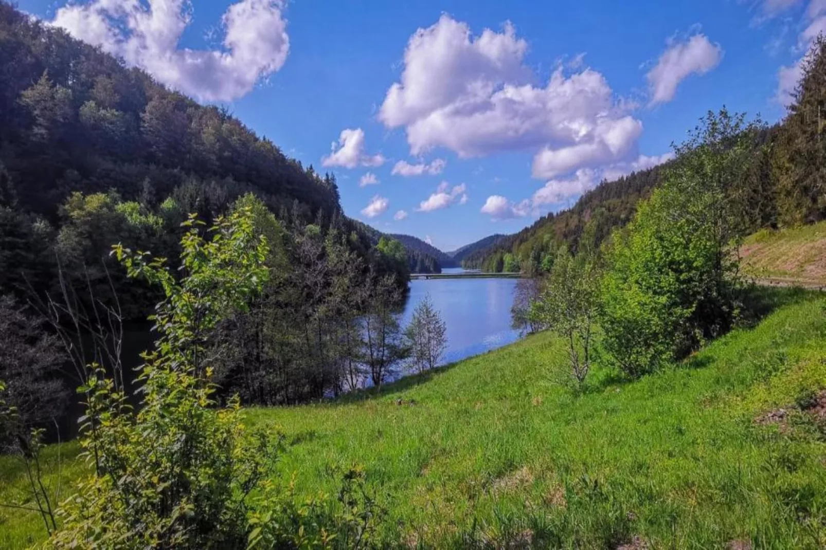 Thüringer Wald-Areas within 20km in summer