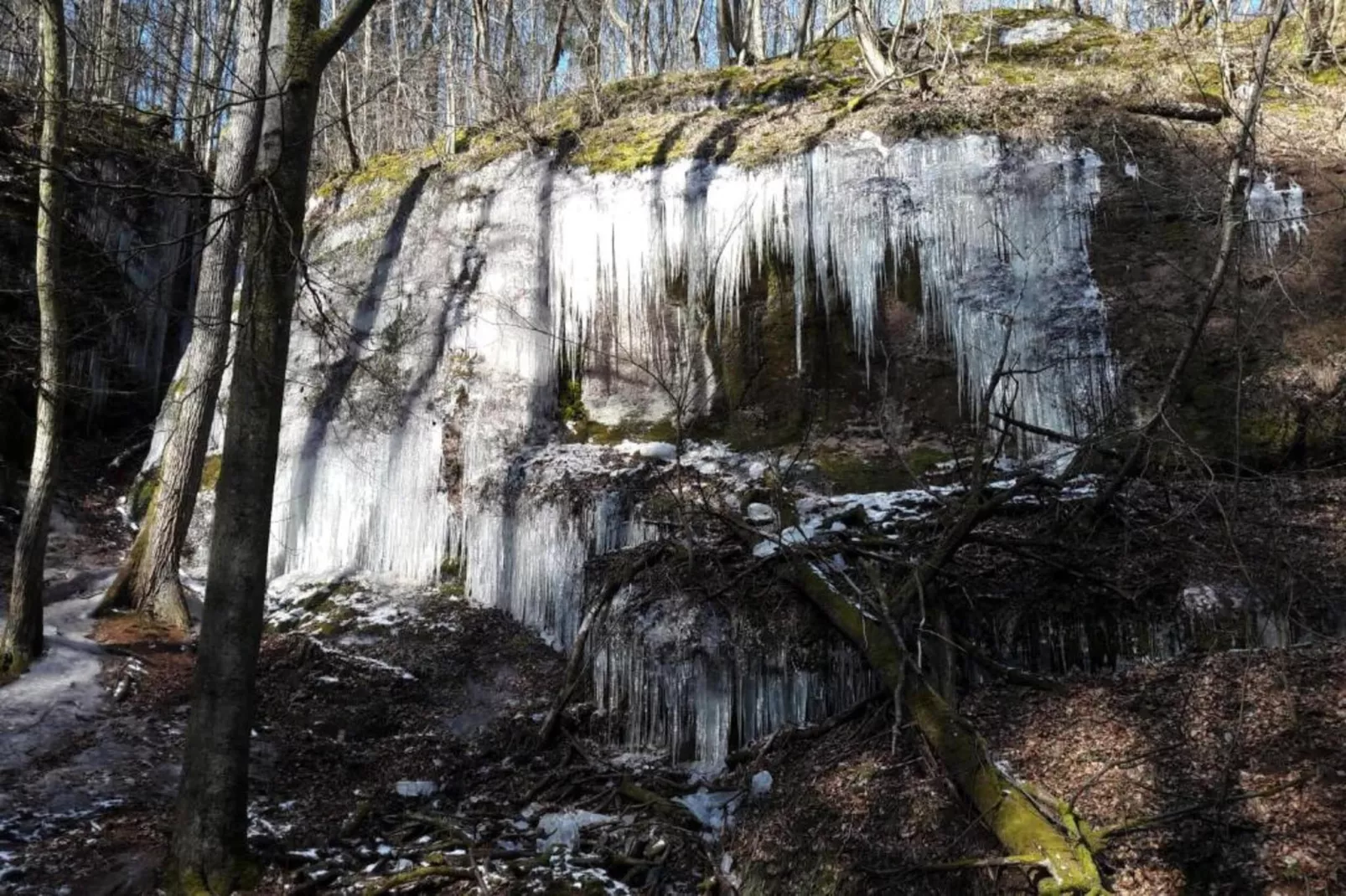 Mosbach-Area within 5km in winter