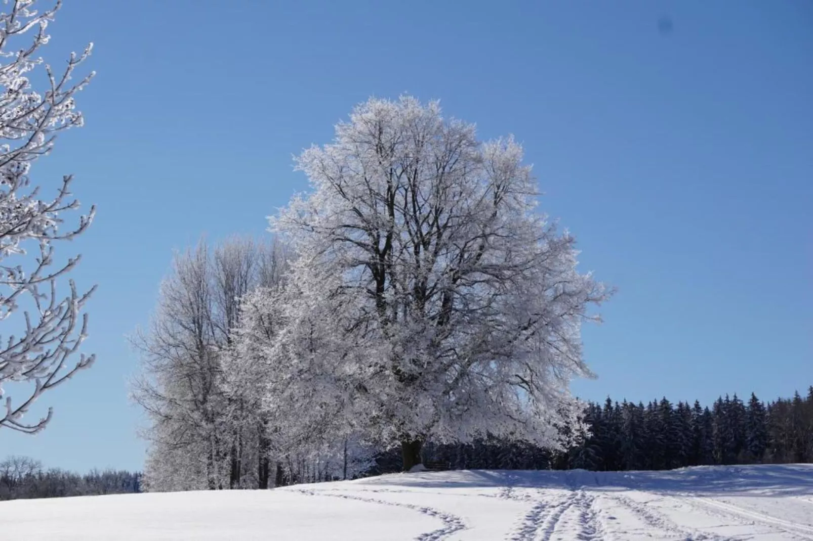 Ferienhaus im Thüringer Wald-Area within 5km in winter