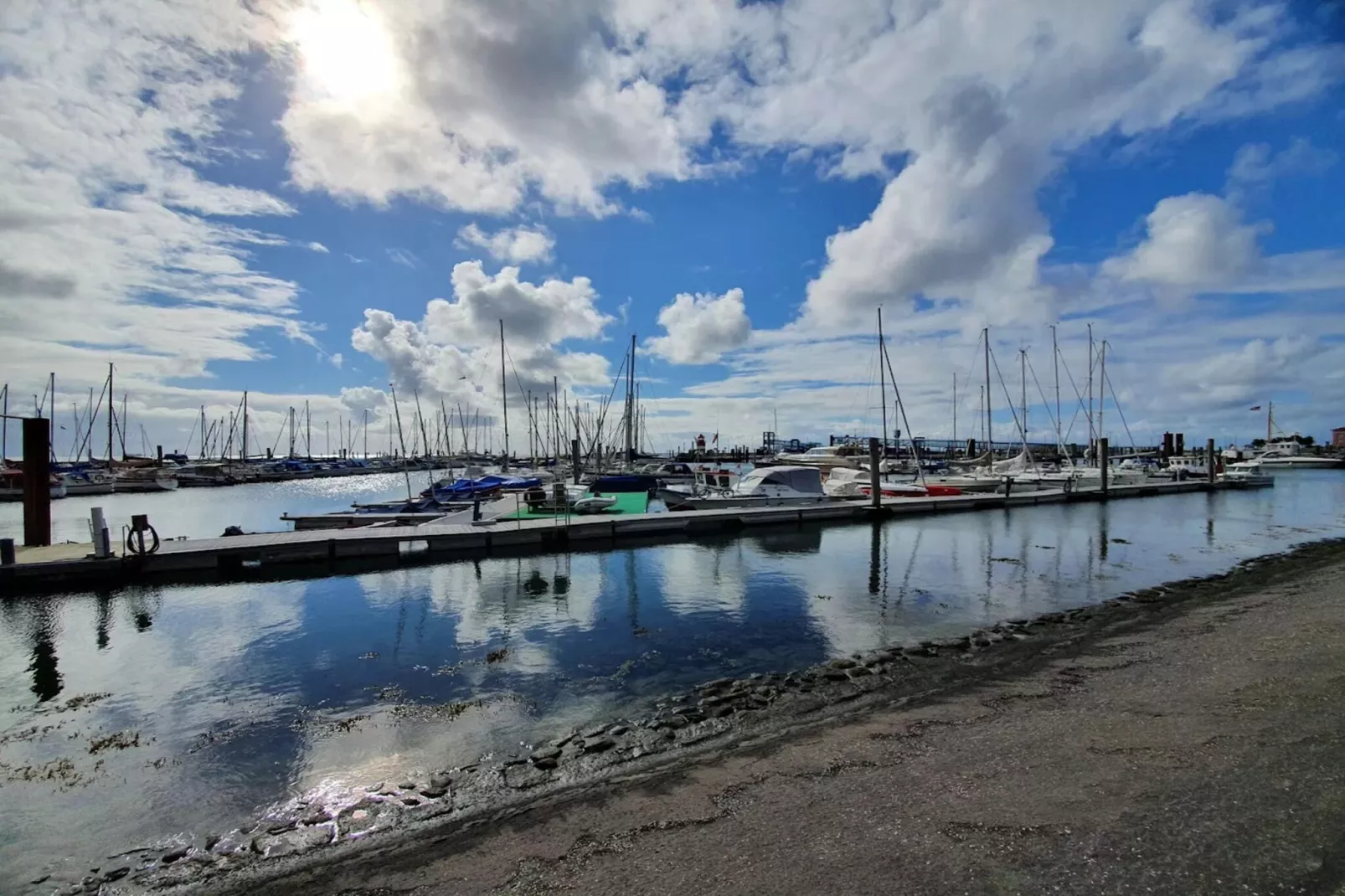 Apartment Wyk auf Föhr2-Raum-App Nr 4 Harmens-Gebiete Sommer 5 km