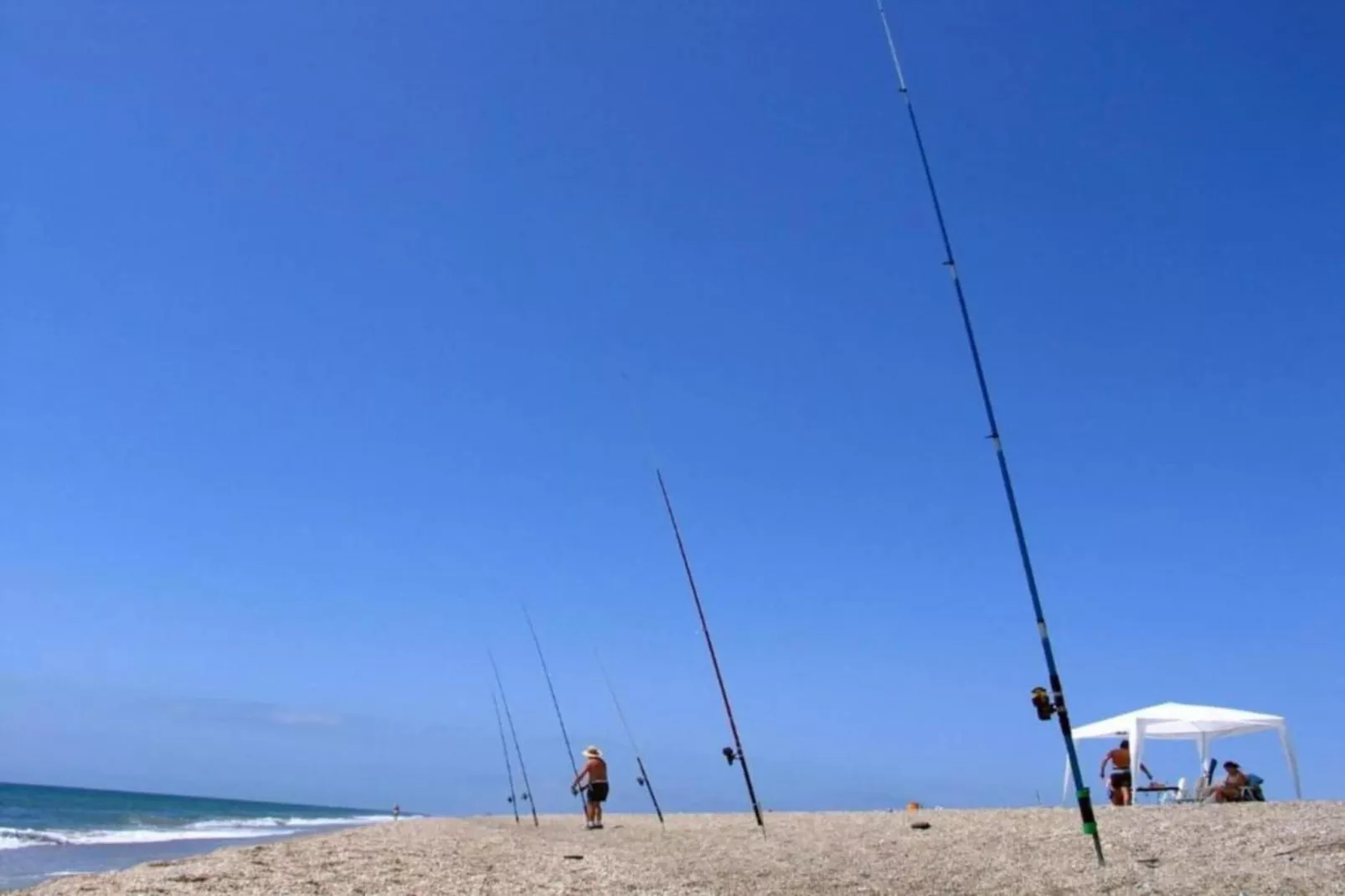 Los Olivos-Areas within 5km in summer