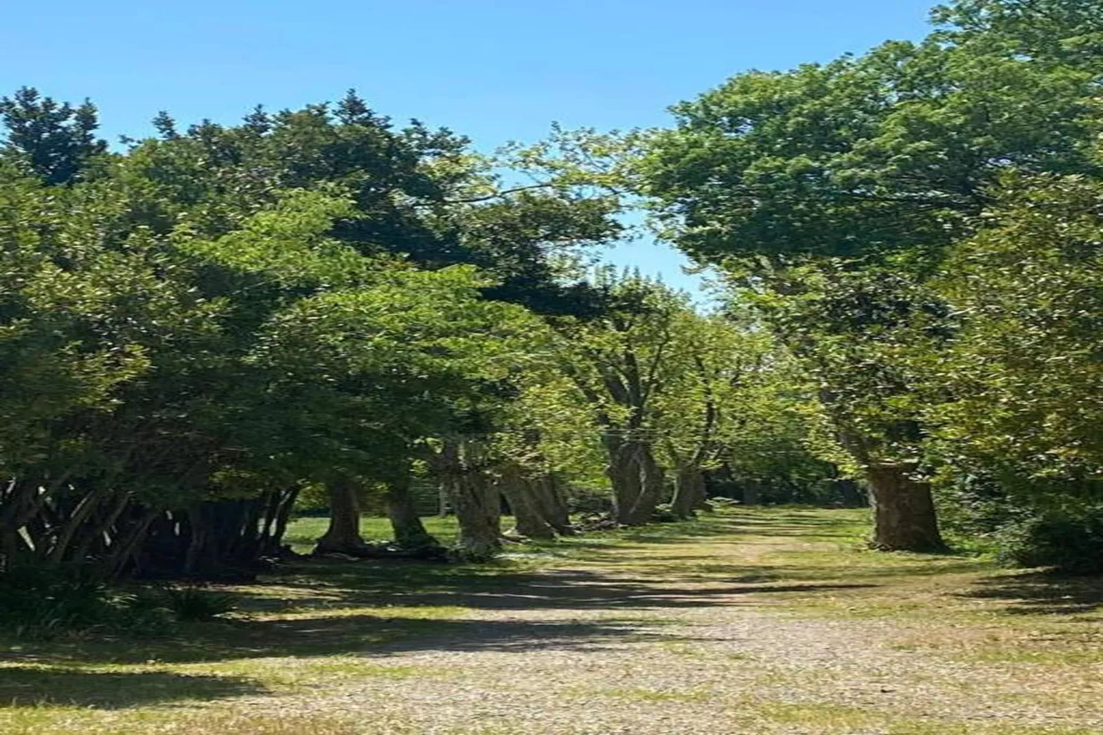 Les Hauts du Lac-Zones été à 20 km