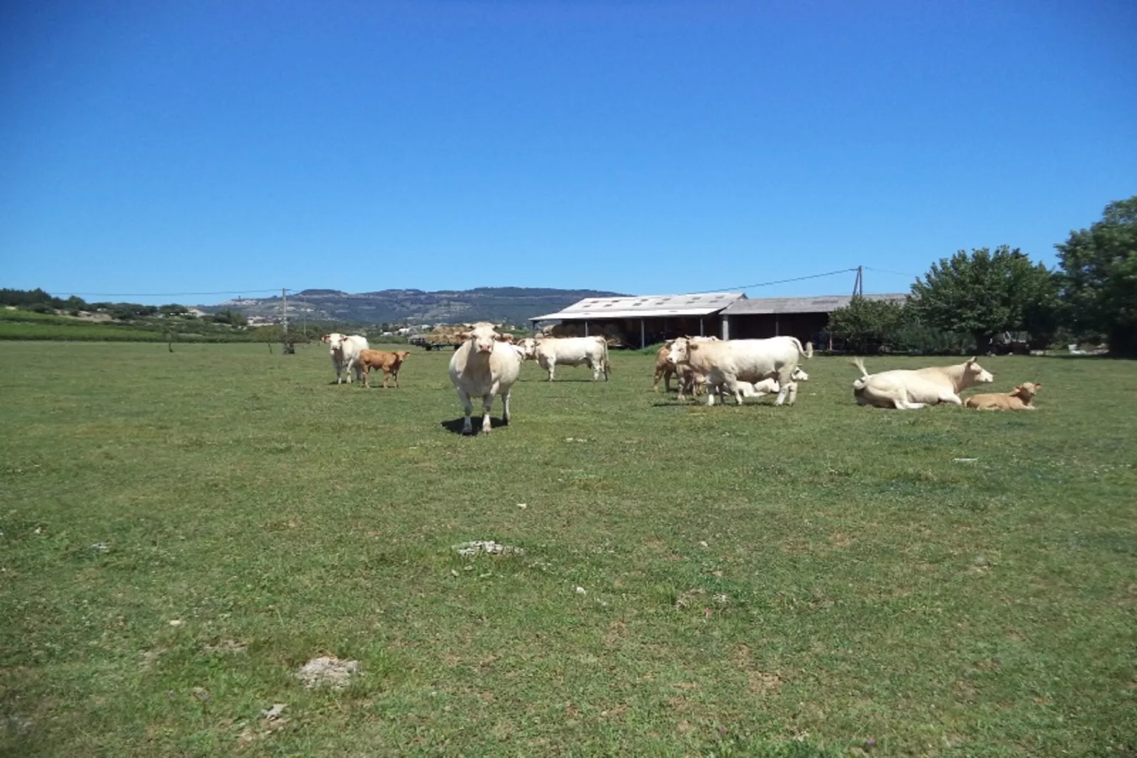 Cottage les Bombis-Areas within 1km in summer