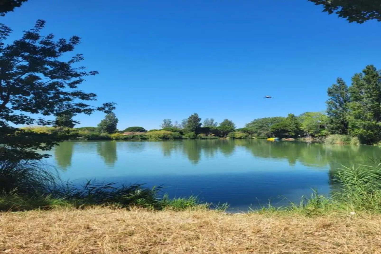 Le village Camarguais Les Gardians 1-Areas within 20km in summer