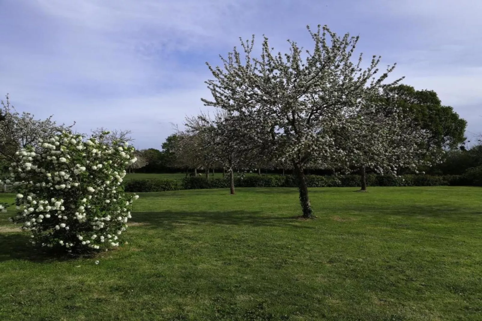 Domaine de luxe 12 pers-Areas within 20km in summer