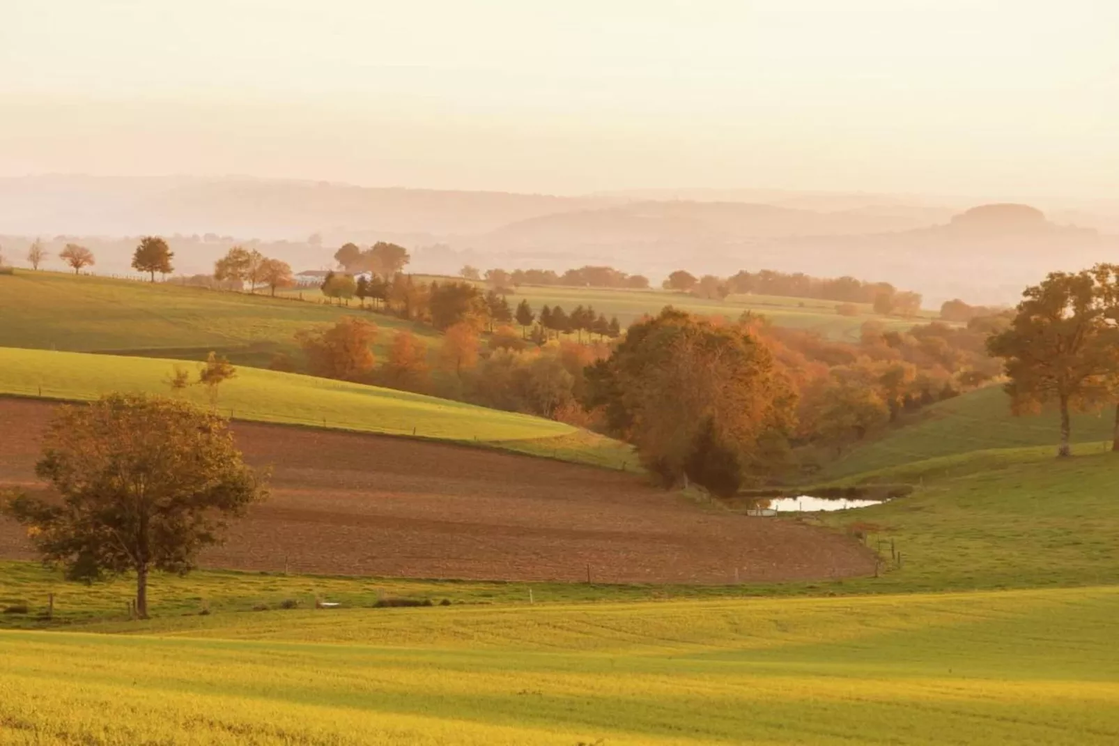 Authentique maison auvergnate-Gebiete Sommer 20 km