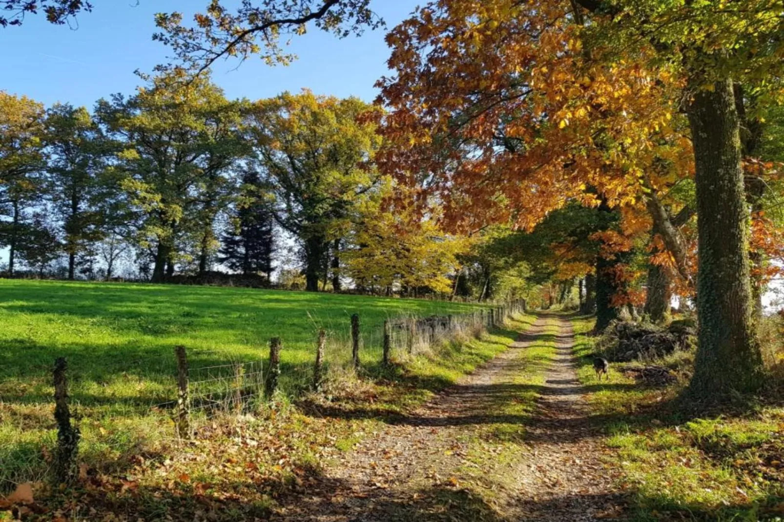 La Belle Vue-Zones été à 5 km