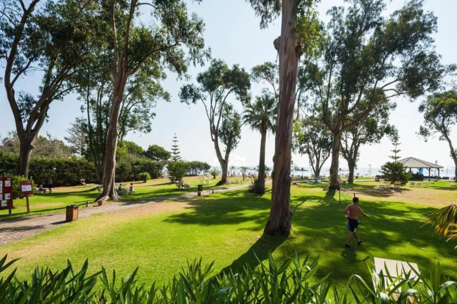 Turquoise-Zones été à 1 km