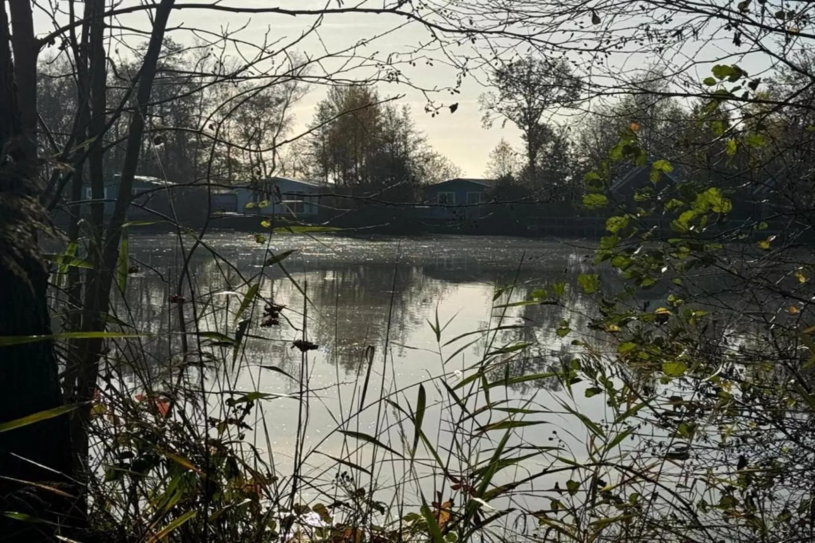 Maison mitoyenne dans un parc animalier proche mer-Gebiete Sommer 20 km