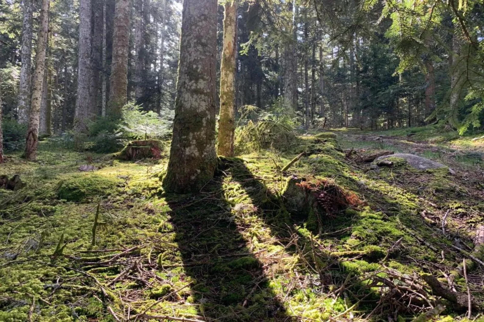 Gite -   SAUVAIN-Zones été à 5 km