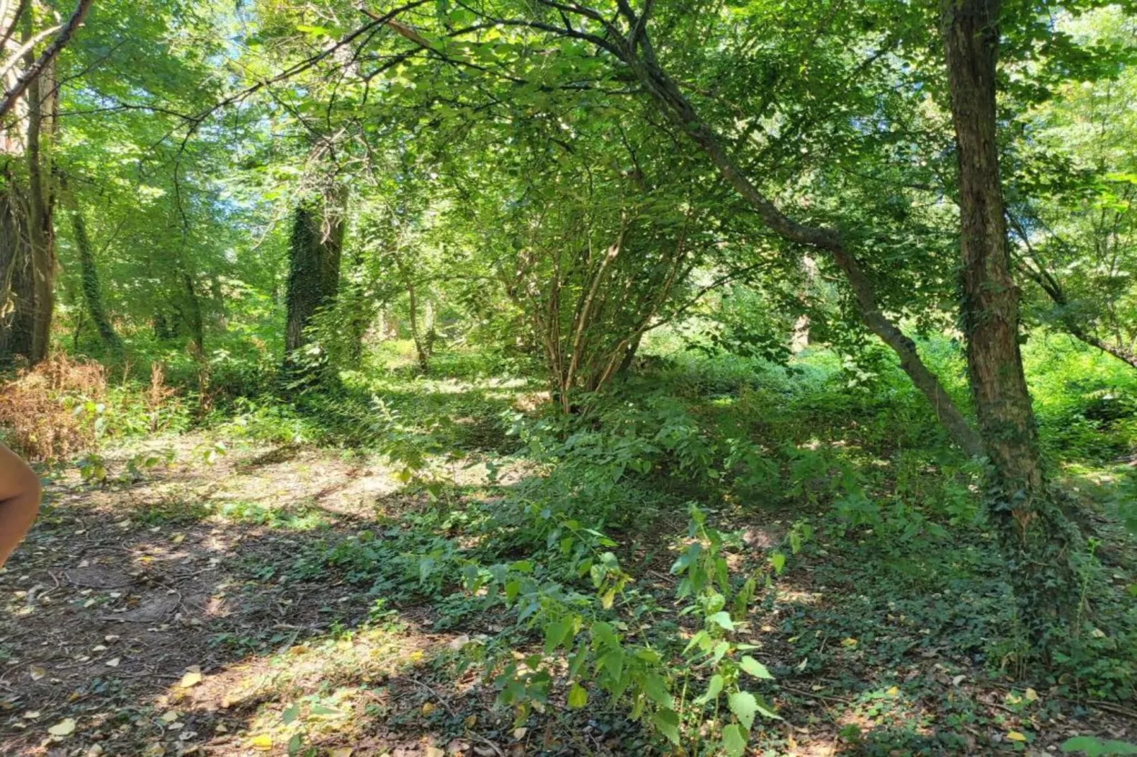 La Coquette-Zones été à 20 km