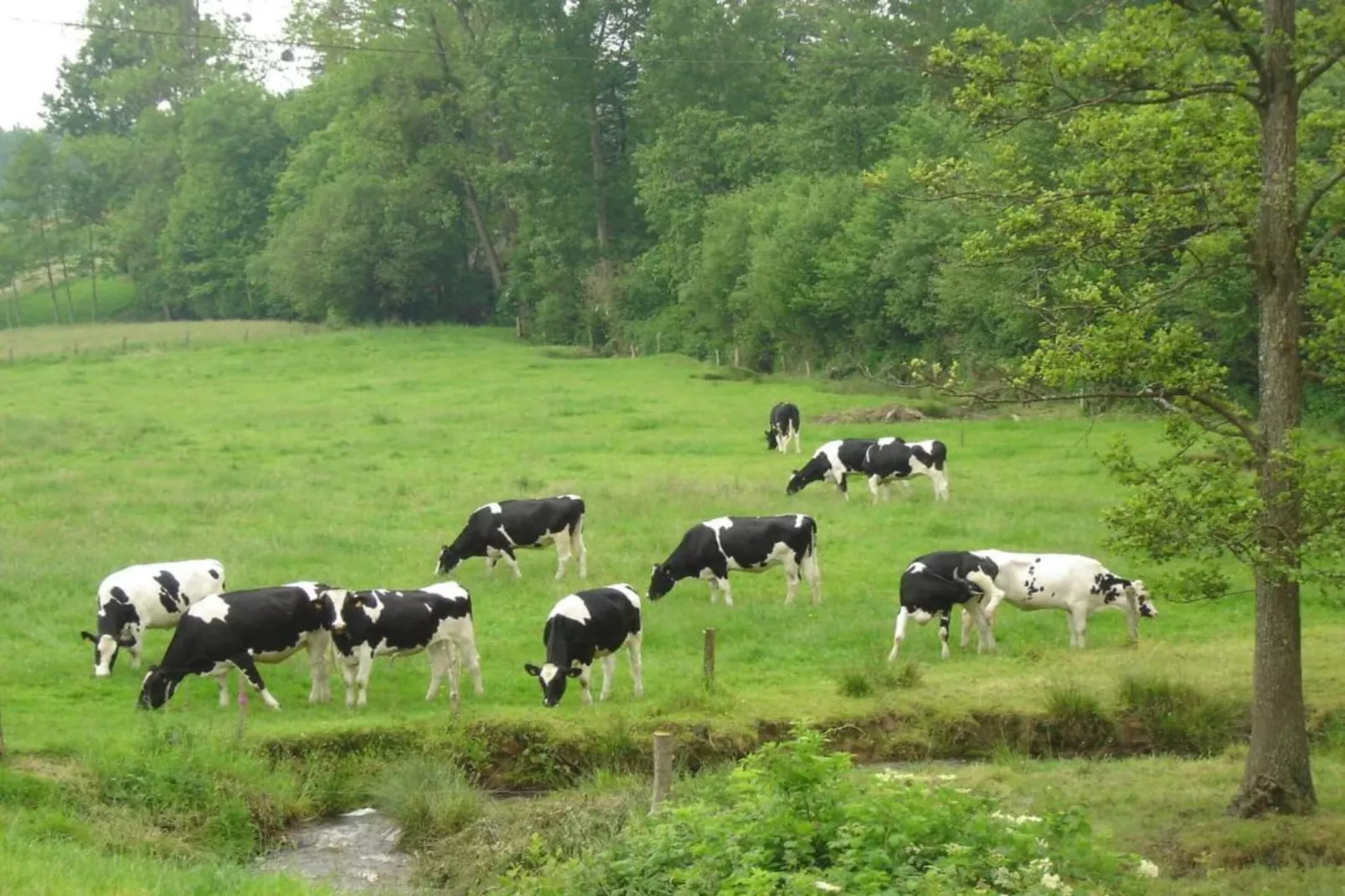 Heslonniere-Areas within 20km in summer