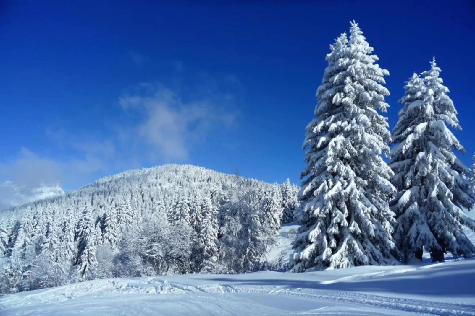 Chalet - LES HOUCHES-Zones été à 5 km