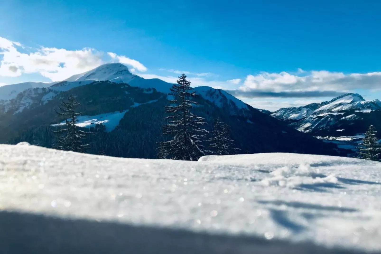 Les Fermes de Chatel 3-Area within 20km in winter