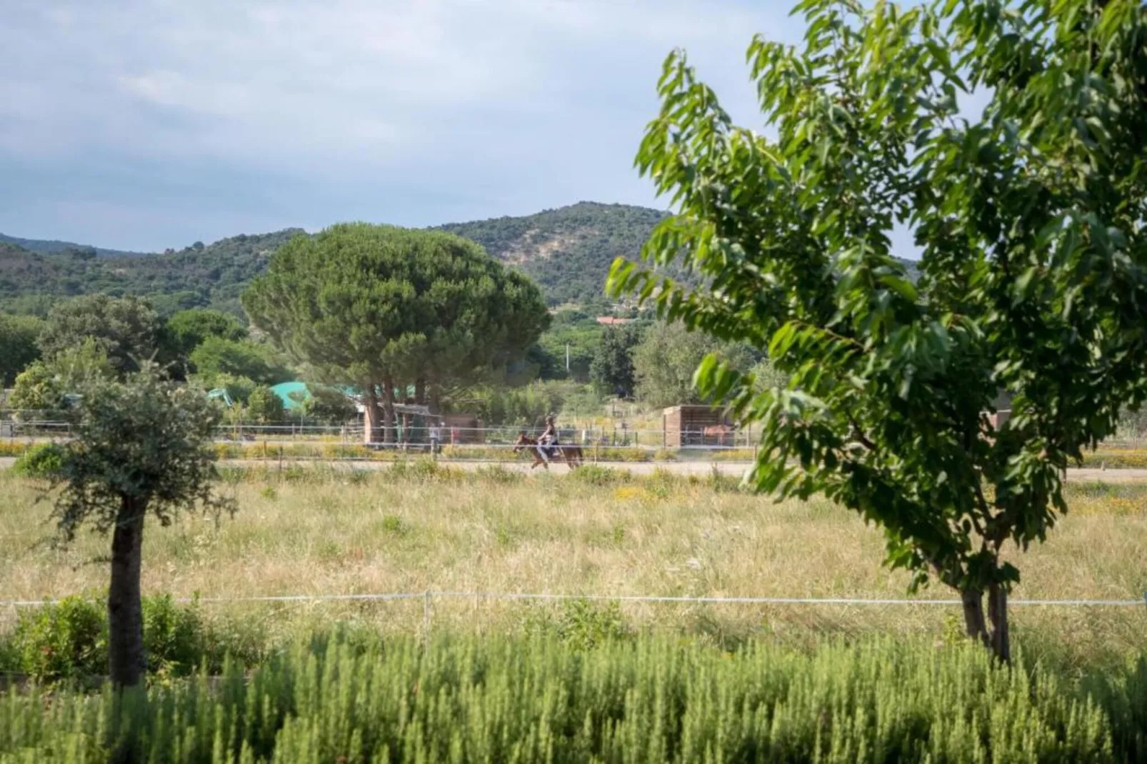 La Palmeraie 4-Areas within 5km in summer