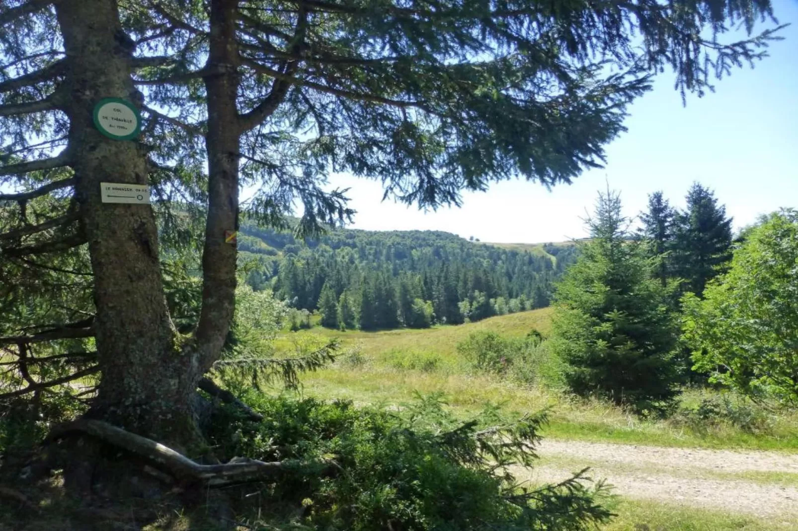 Le Renard-Areas within 20km in summer