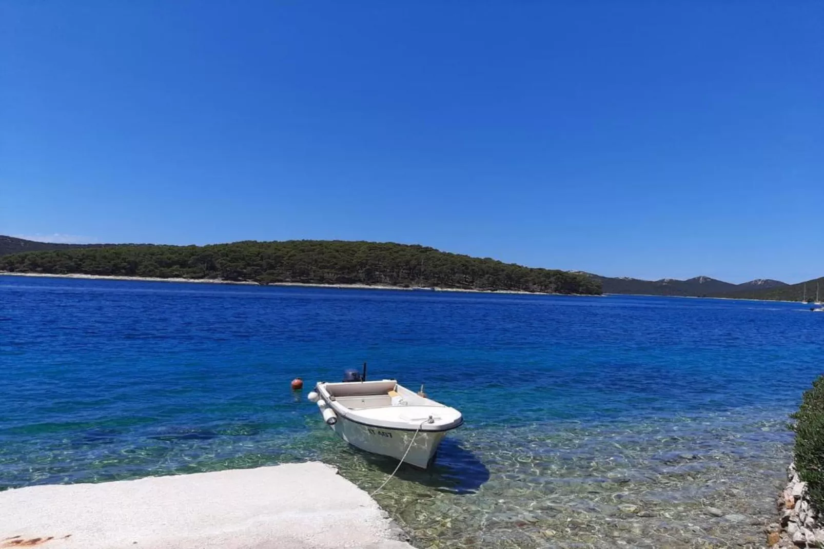 Corto Maltese-Areas within 1km in summer