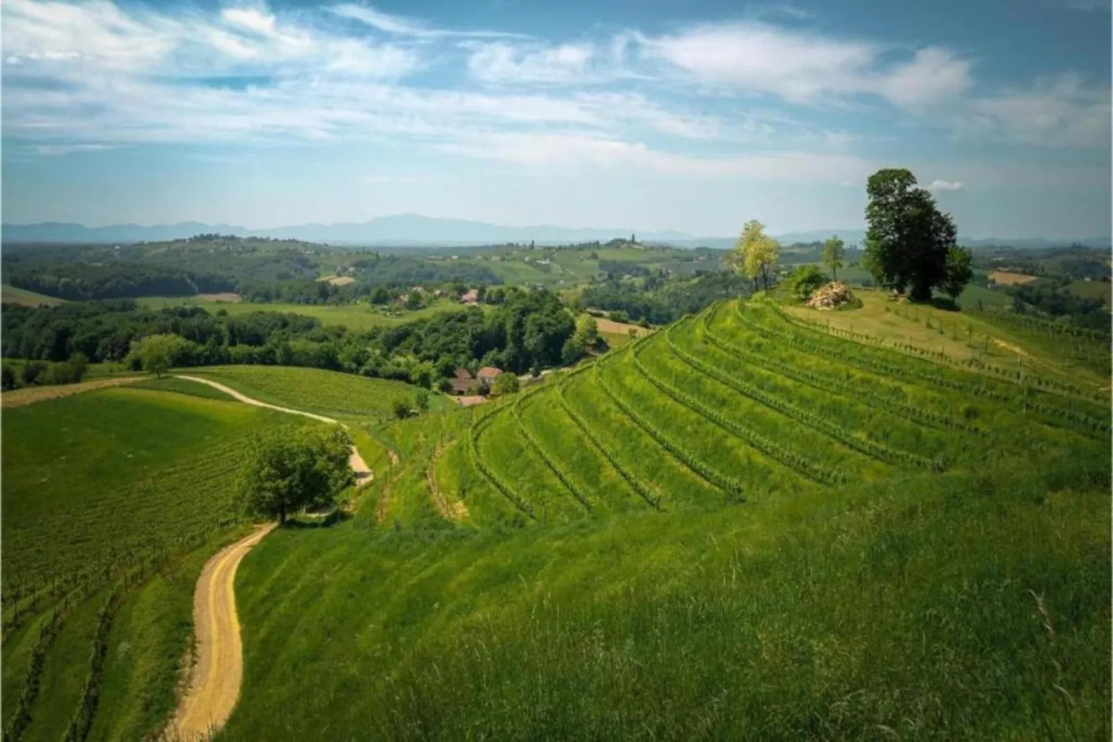 Villa Chiara-Gebiete Sommer 1 km