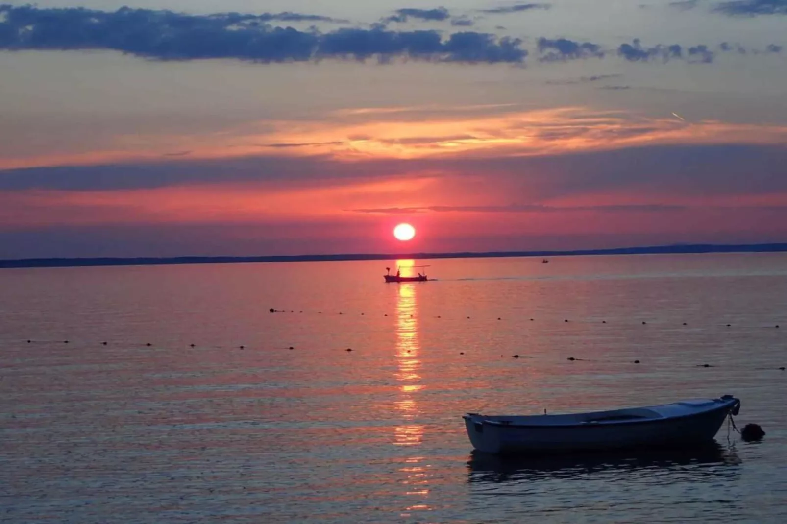 Casa Vacanza Orsera-Areas within 1km in summer