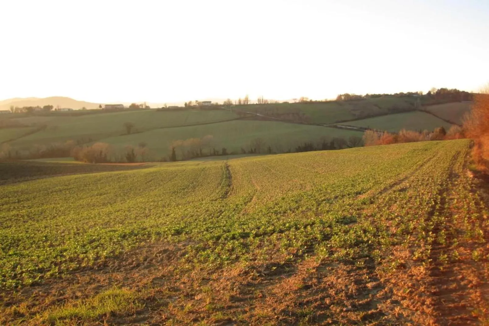 Villa Monte Acuto-Areas within 5km in summer