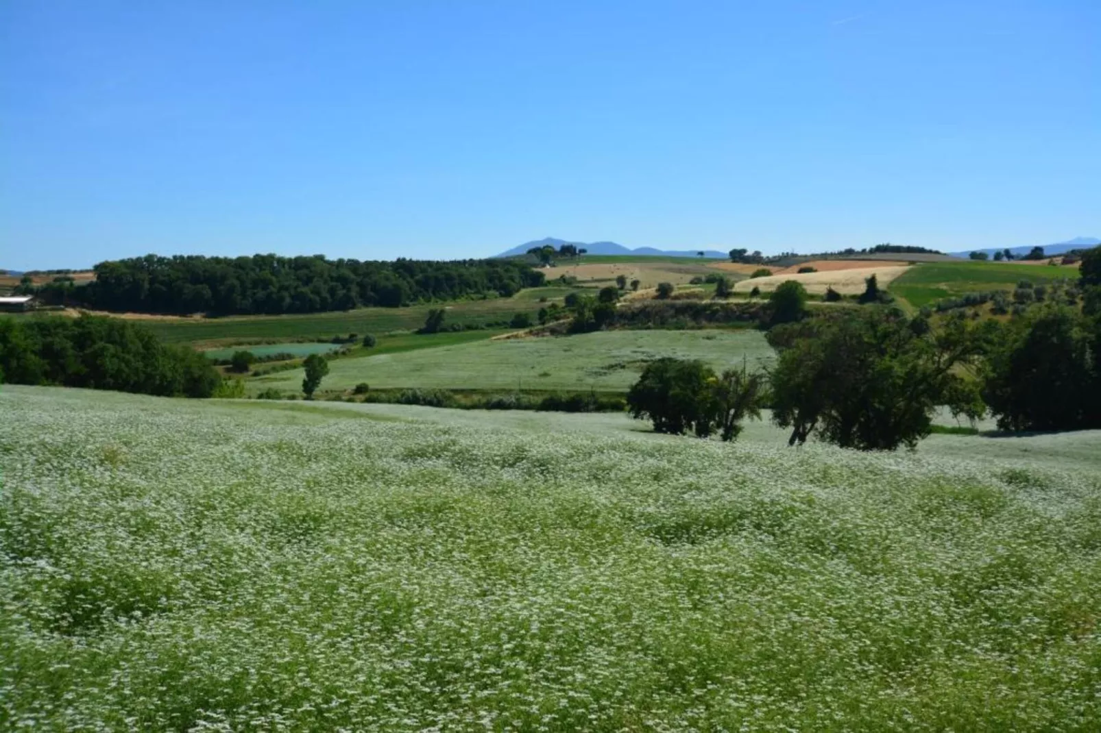Luna Chiara-Gebiete Sommer 20 km