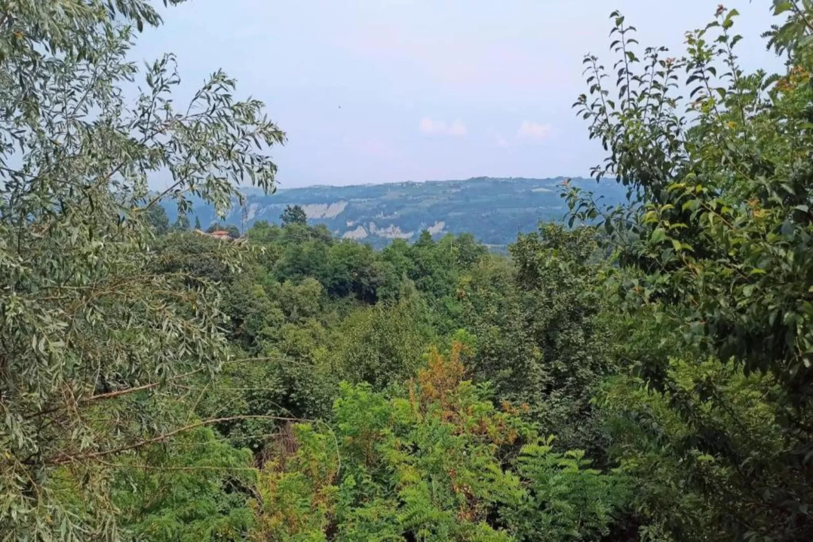 Carrù-Areas within 20km in summer
