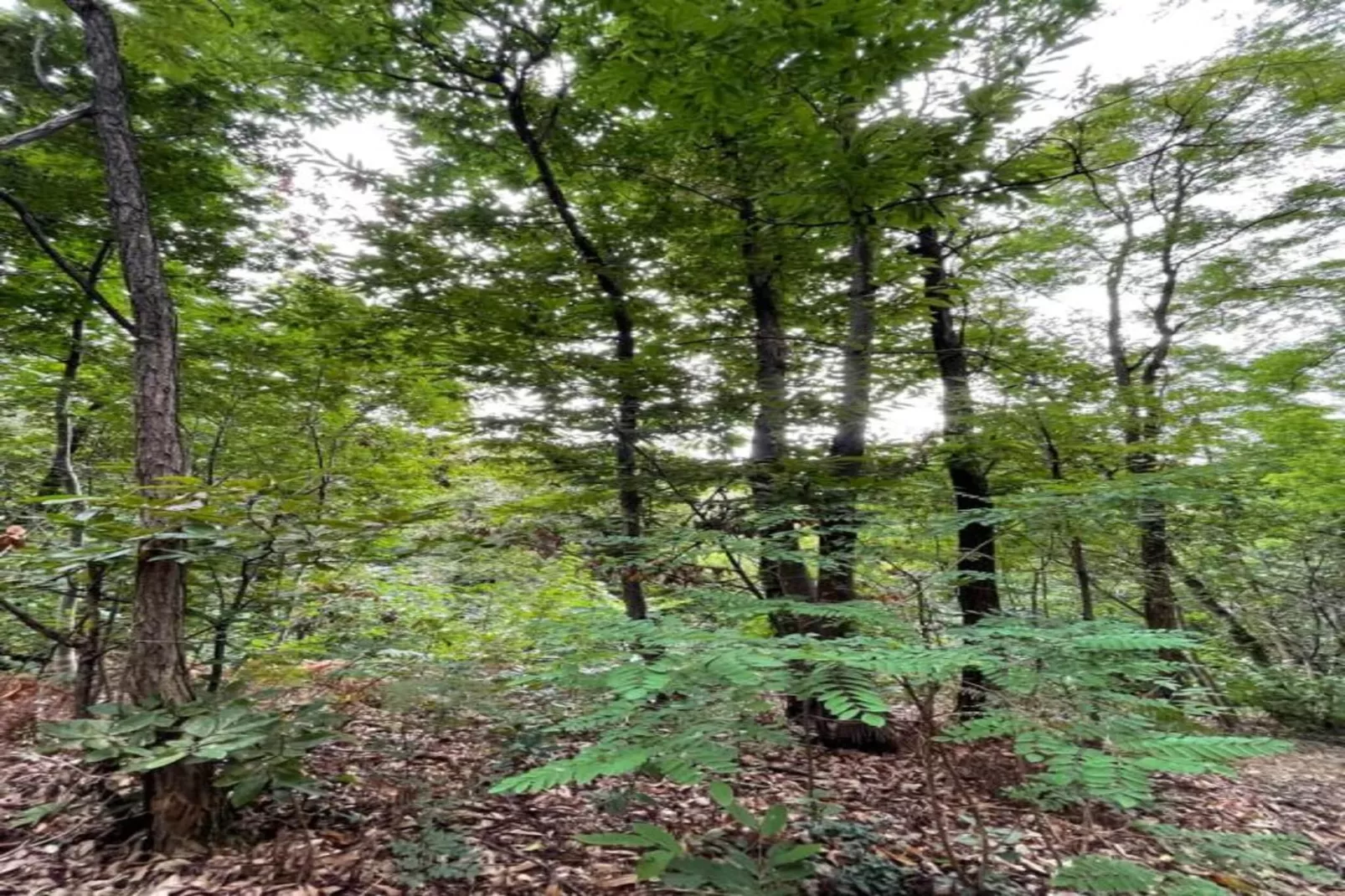 Le Do None Tre-Zones été à 20 km