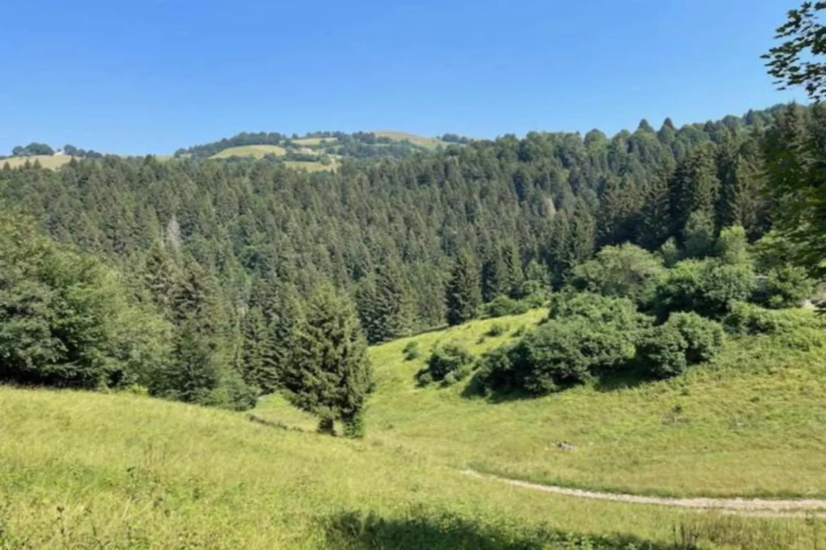 Villa Fiorita Uno-Areas within 20km in summer