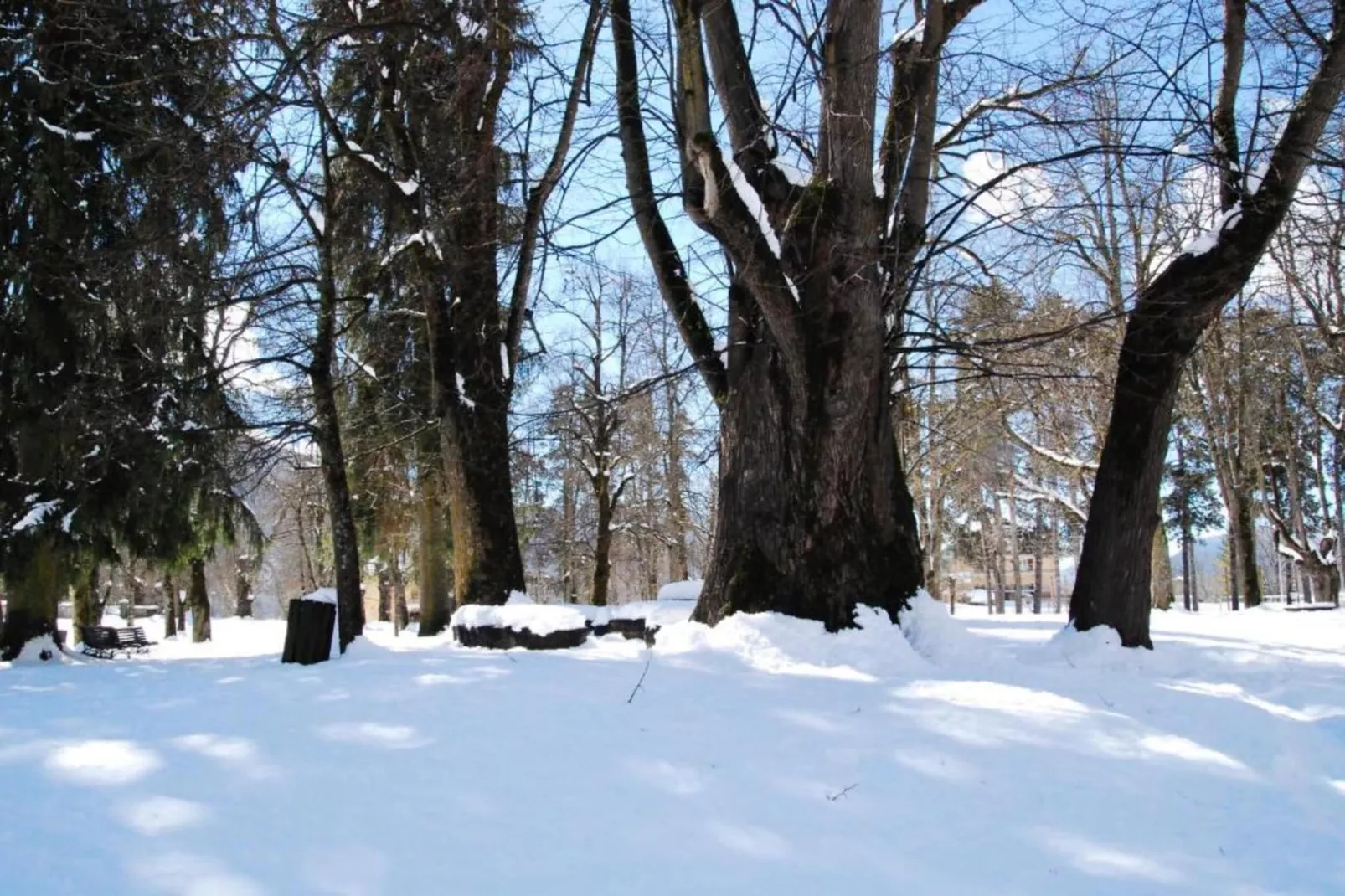Negritella Trilo Sei-Gebiet Winter 20 km