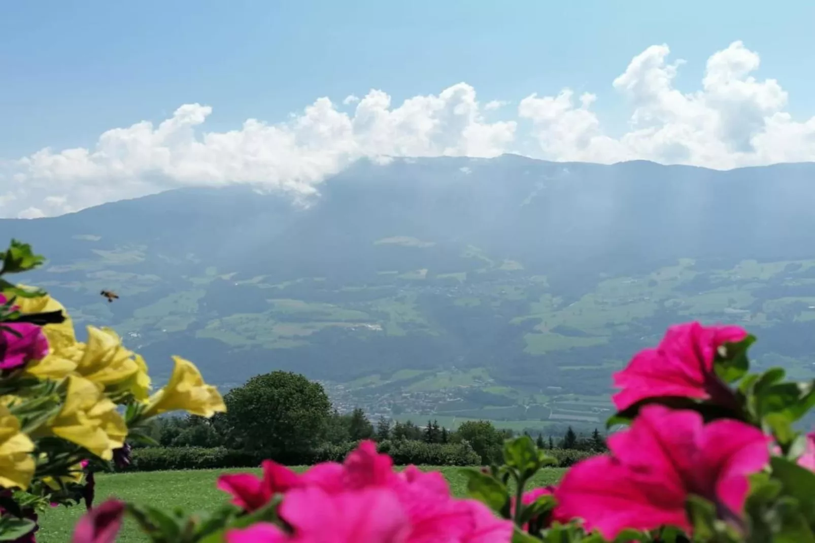 Rosalpina-Areas within 20km in summer