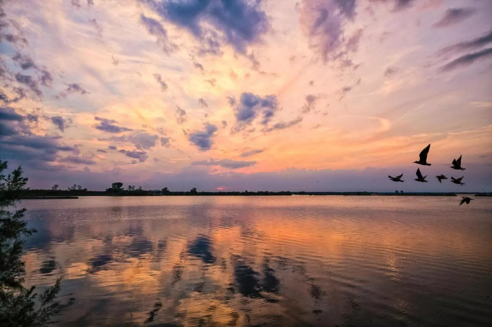 Ceseta 7 - Areas within 1km in summer