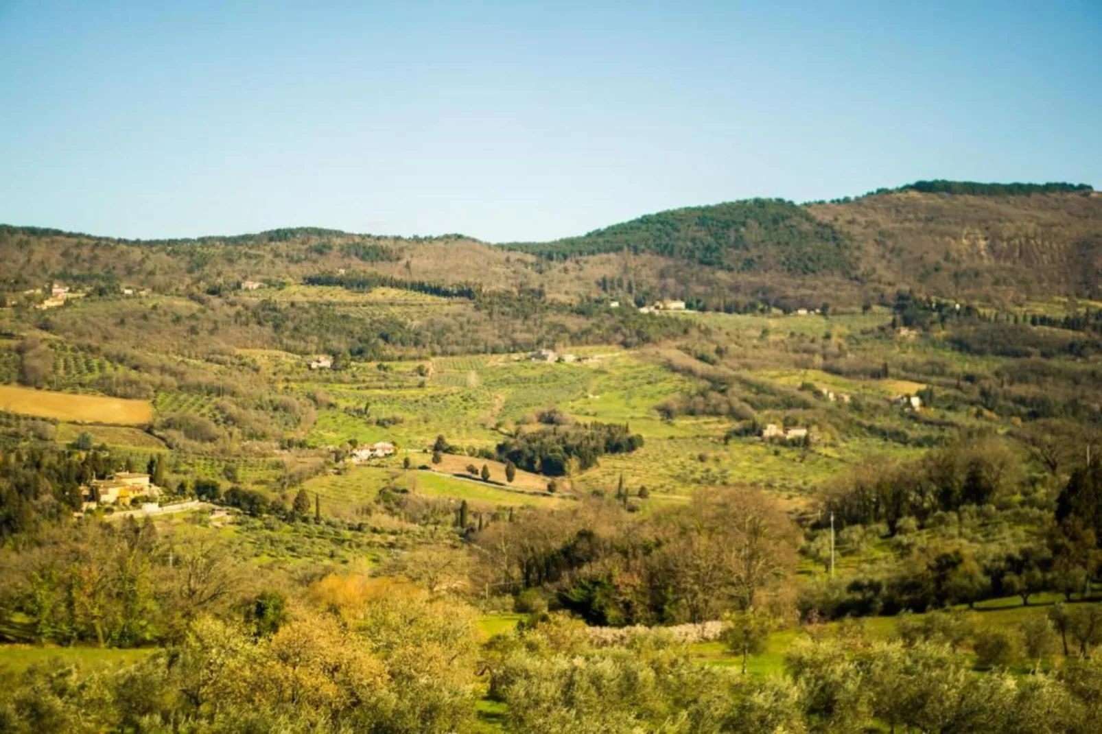 I Tini-Areas within 20km in summer