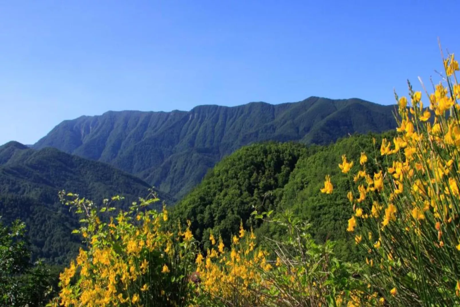 San Godenzo Sagrestia 2-Areas within 20km in summer