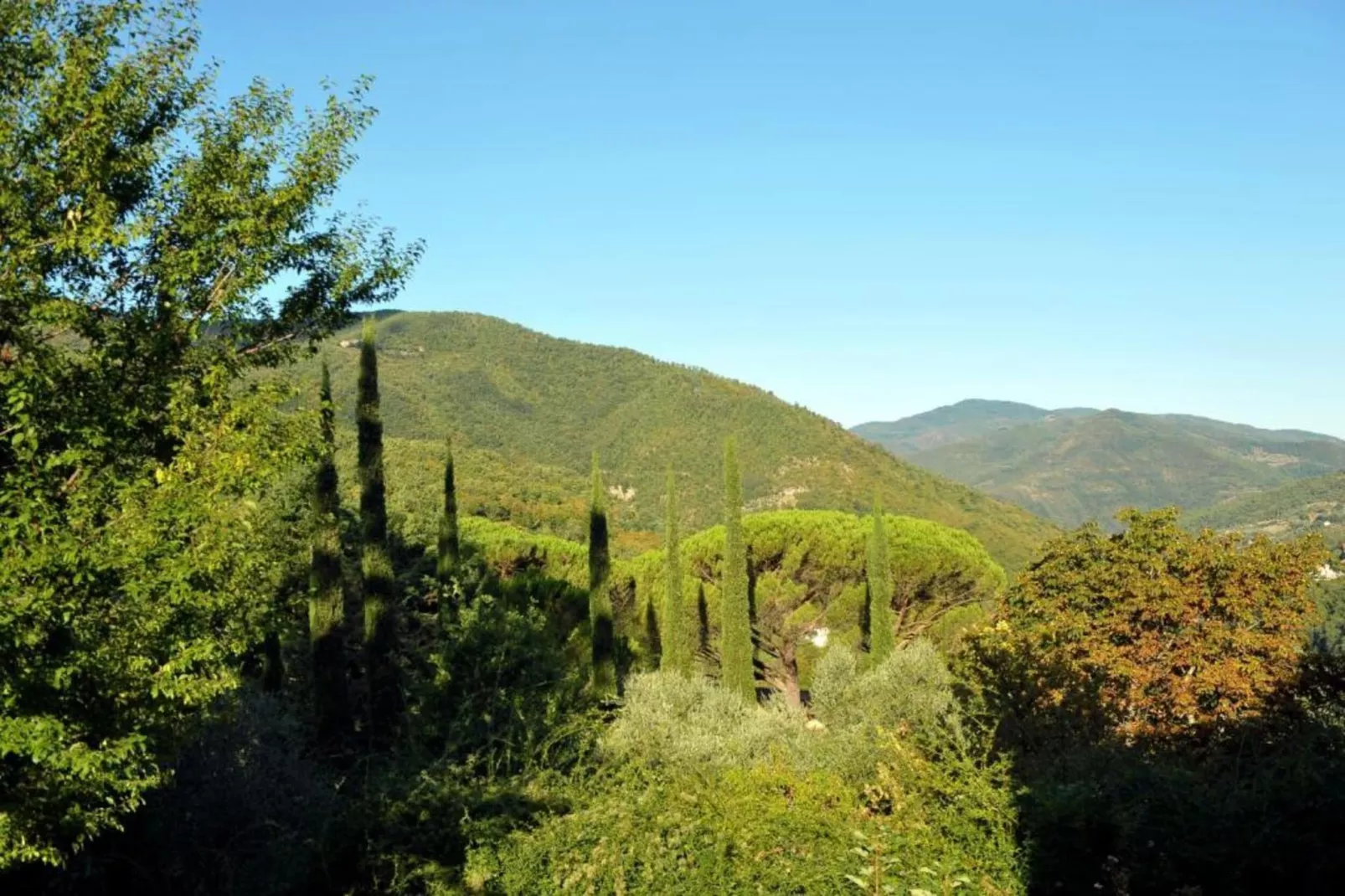 Giotto-Areas within 20km in summer