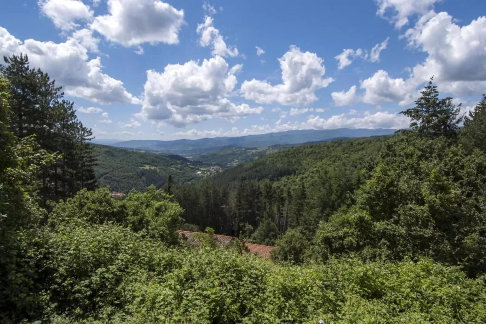 Noce-Areas within 20km in summer